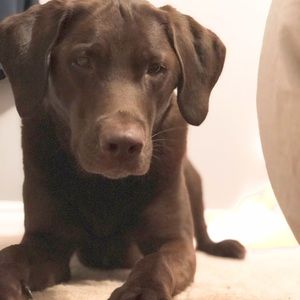 Meet your Posher, Julia